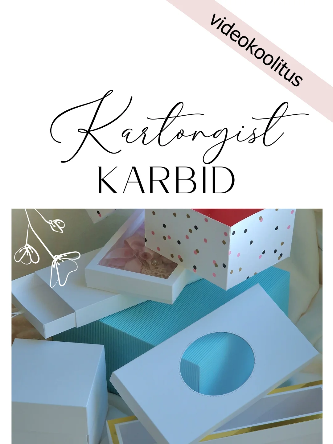 Kartongist karpide tegemine - videokoolitus